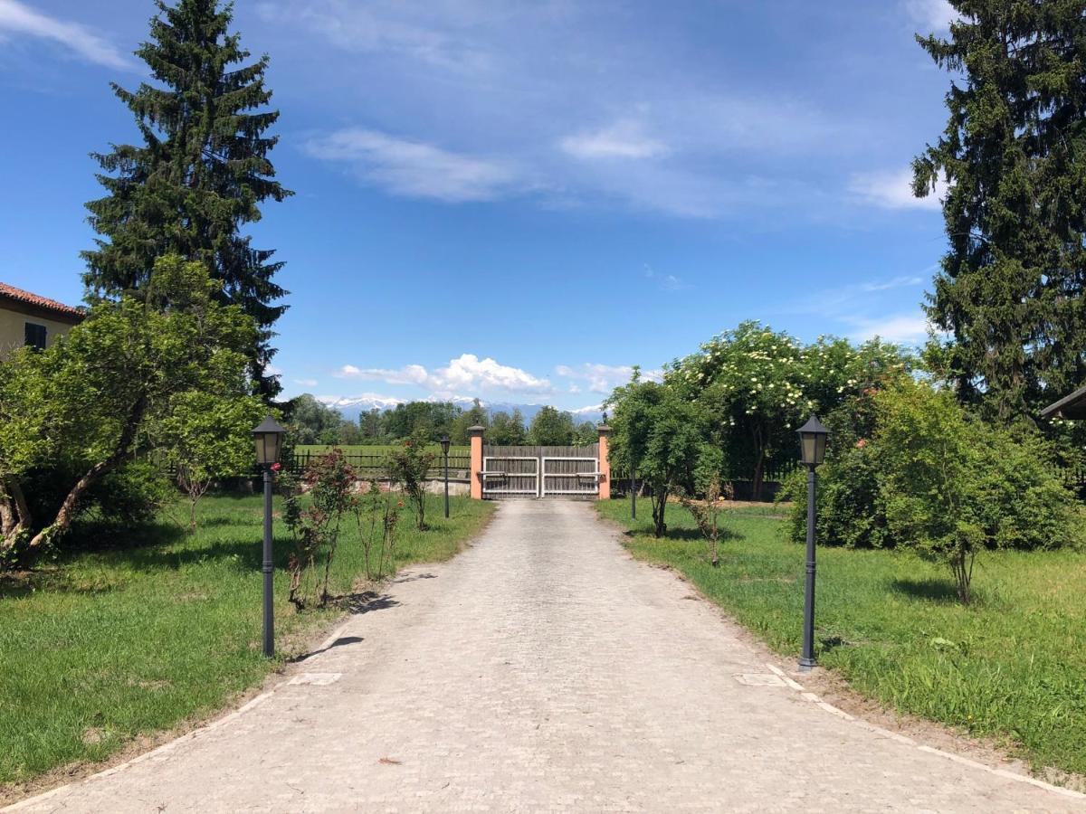 Bonelli Bed & Fest Guest house
