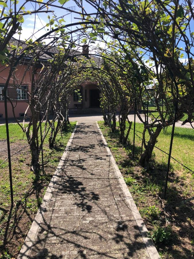 Guest house Bonelli Bed & Fest Savigliano