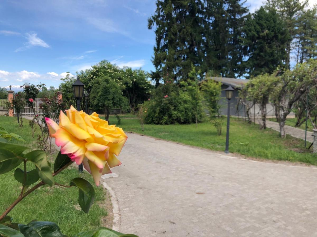 Guest house Bonelli Bed & Fest Savigliano